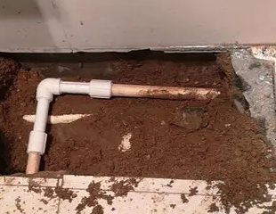 武鸣测漏水哪家好