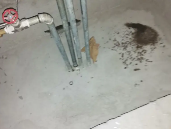 武鸣卫生间测漏水价格明细