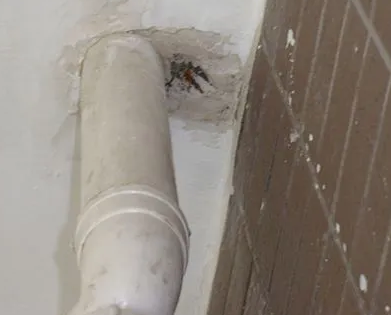 武鸣漏水检测哪家好